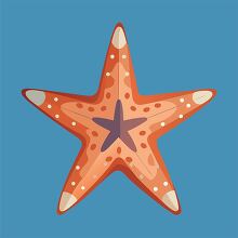 beautifully illustrated orange starfish with intricate patterns