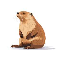 beaver dark brown fur with lighter underbelly clip art