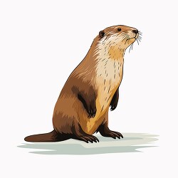 beaver powerful hind leg clip art