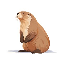 beaver semi aquatic animals clip art