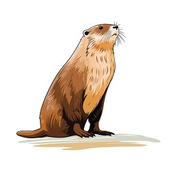 beaver sharp toothed gnawers clip art