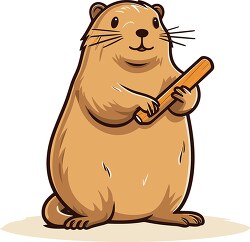 beaver stands holding stick in paws
