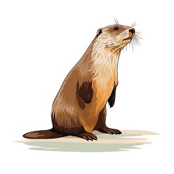 beavers webbed feet swimmer clip art