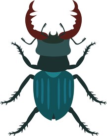 Beetle Insects Animal Clipart