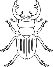 Beetle Insects Animal Clipart copy