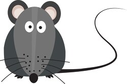 big eyed gray mouse with long tail vector clipart