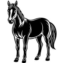 Black and white illustration of a horse standing