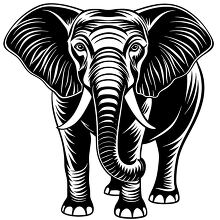 Black and white illustration of an elephant facing forward