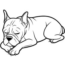 Black and white outline of a boxer dog sleeping