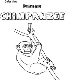 black outline primate chimpanzee coloring page