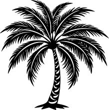 black silhouette of a palm tree