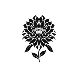 black silhouette of dhalia flower on white background