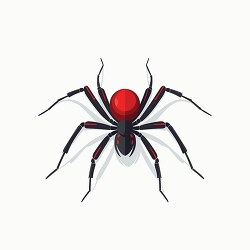 black widow spider with red hour glass