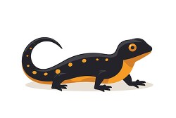 black yellow salamander clip art