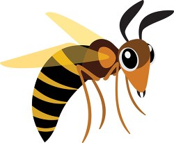 black yellow Wasp insects in the order Hymenoptera Clipart