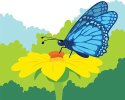 blue butterfly sipping on nectair on large yellow flower clipart