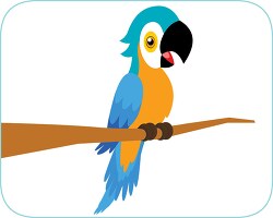 blue orange mccaw parrot clipart