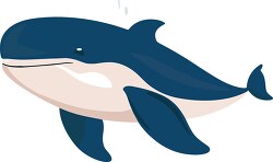blue whale clip art