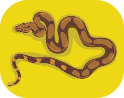 Boa constrictor large non venomous Snake Clipart