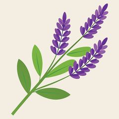 lavender branch with a clean flat design style