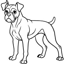 boxer dog standing with short tail black outline