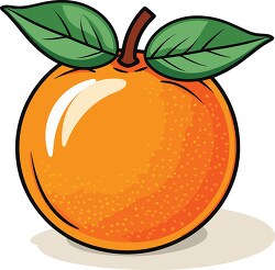 bright fresh citrus fruit orange clip art