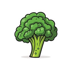 broccoli nutritious vegetable clip art