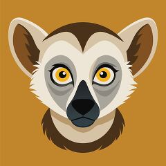 brown and white lemur face with big eyes