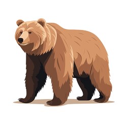 brown bear a powerful and hefty mammal