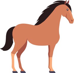 brown horse with black hair and a black tail