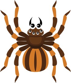brown Spider Insects Animal Clipart