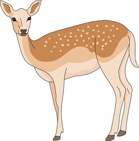 brown spotted deer clipart