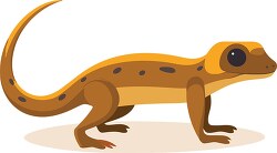 brown spotted newt