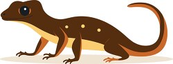 brown spotted newt with long tail