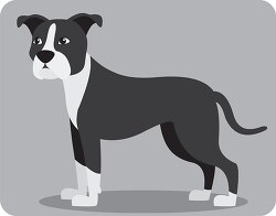 brown white pit bull terrier dog gray color clip art