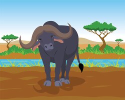 buffalo standinig along a tree lined river bank in africat