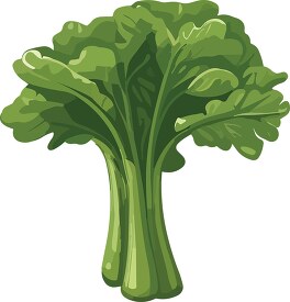 bunch of green leafy vegetable clip art