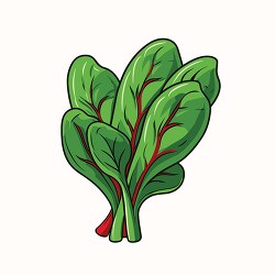 bunch of leafy green spinach clip art