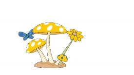 butterfly mushroom animation