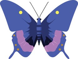 butterfly with blue purple wings
