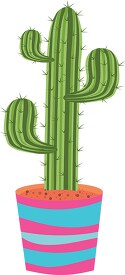 cactus in a colorful ceramic planter pot clipart