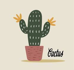 cactus in a pot with the word cactus