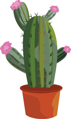 cactus plant with pink flowers in clay pot clipart