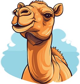 camel front view of long neck and face