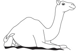 camel resting while sitting in sand black outline clipart
