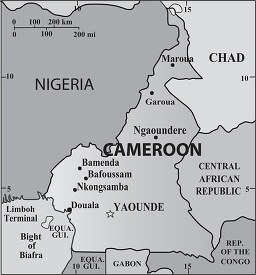 Cameroon country map gray color