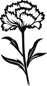 carnation flower on stem black outline