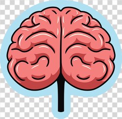 Cartoon brain with two hemispheres