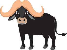 cartoon buffalo with long horns standing on a green grass gray c