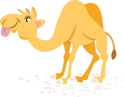cartoon camel showing large tongue clipart